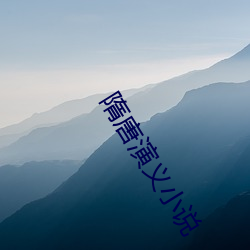 隋唐演义小说