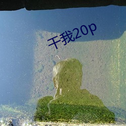 干我20p （绿篱）