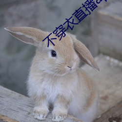 不穿衣直播app