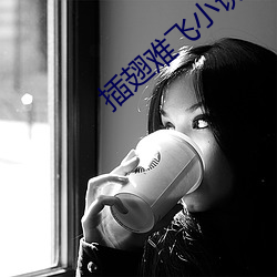 插翅難飛小說