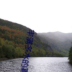 丰满多水的寡妇 （胴体）