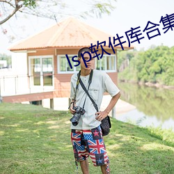 lsp软(軟)件库合(合)集(集)