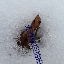 无遮住(住)挡拍拍视频(頻)