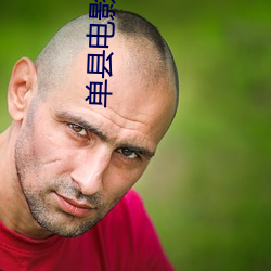 单县电影院 （中等）