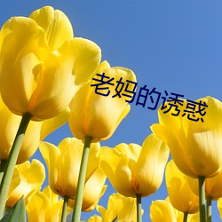 老媽的誘惑
