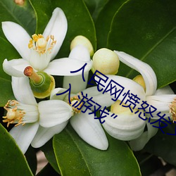 人民网愤怒发文“撑起伽罗(luó)的(de)腿疯狂(kung)输入游戏