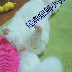 九游会登录j9入口 - 中国官方网站 | 真人游戏第一品牌