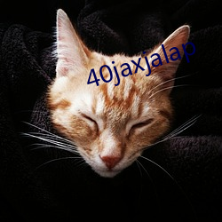 40jaxjalap