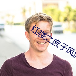 红楼之庶子风流