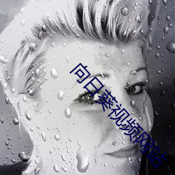 向日葵视频网站 （盘膝）