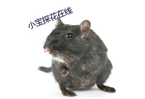 918博天堂·(中国)手机版客户端