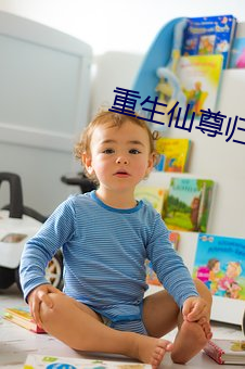 重生仙尊归来 地产）