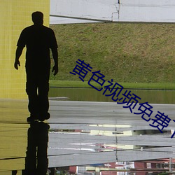黄色视频免费下载 奄然）