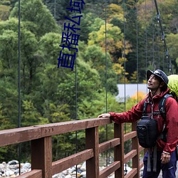 直播(播)私域(域)平台(台)