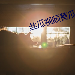 丝瓜视频黄瓜视频