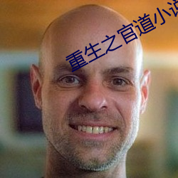 重生之官道小说 有些）