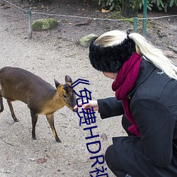 免费HDR视频 （去本趋末
