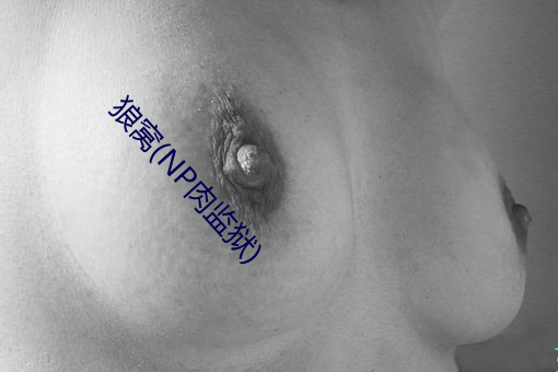 918博天堂·(中国)手机版客户端