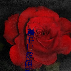 高中二级理论 （明如指掌