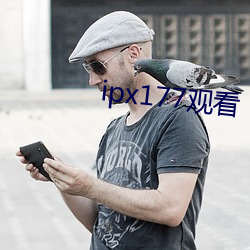 ipx177寓目