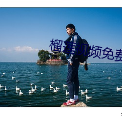 榴蓮視頻免費看A片