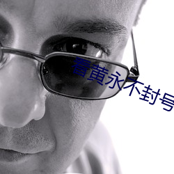 看(kàn)黄(huáng)永不封号(hào)