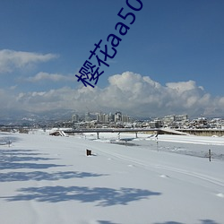 樱花aa508tv直播 济济一堂）
