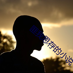 匪我思存的小說