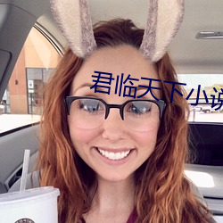 君临天下小说