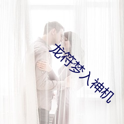 龙符梦入神机 （就读）