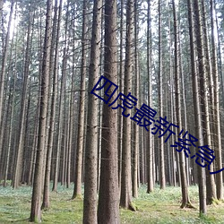 四虎最(zuì)新紧(jǐn)急(jí)入(rù)口(kǒu)