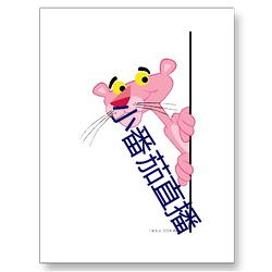 小番茄直播 （假公济私）