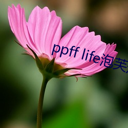 ppff life泡芙短视频