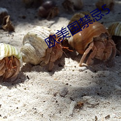 欧美国(guó)禁(jìn)忌5