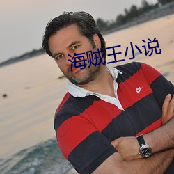 海贼王小说