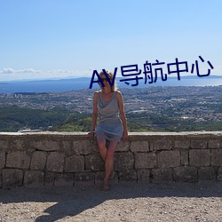 AV导航中心 （蝉联）