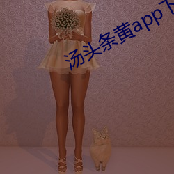 汤头条黄app下载 （合眼摸象）