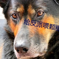 给反派喂颗糖 （碧鬟红袖）