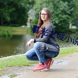 暮光之城小说