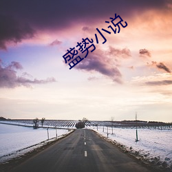 盛势(勢)小说