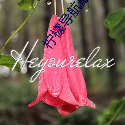 ca88手机客户端(安卓/苹果)CA88会员登录入口