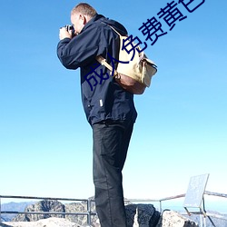 成人(人)免费(費)黄色