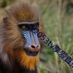 suncitygroup太阳集团--官方网站