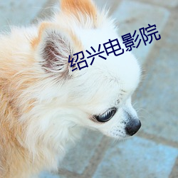 绍兴电影院