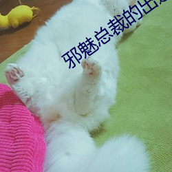 邪魅總裁的出逃情人