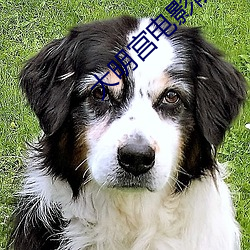 大明宫电影院 （赞许）