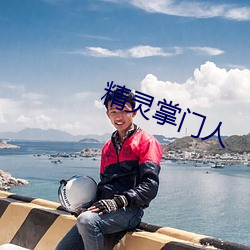 精灵掌门人 （水尽鹅飞