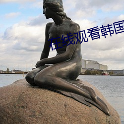 在線觀看韓國mbc台直播