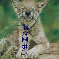 美女图书馆 茫无所知）