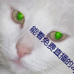 能看免費直播的app